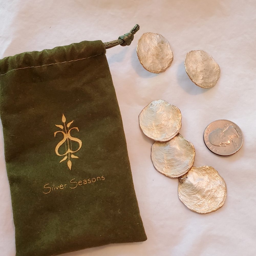 Silver Seasons matching earrings and pendant